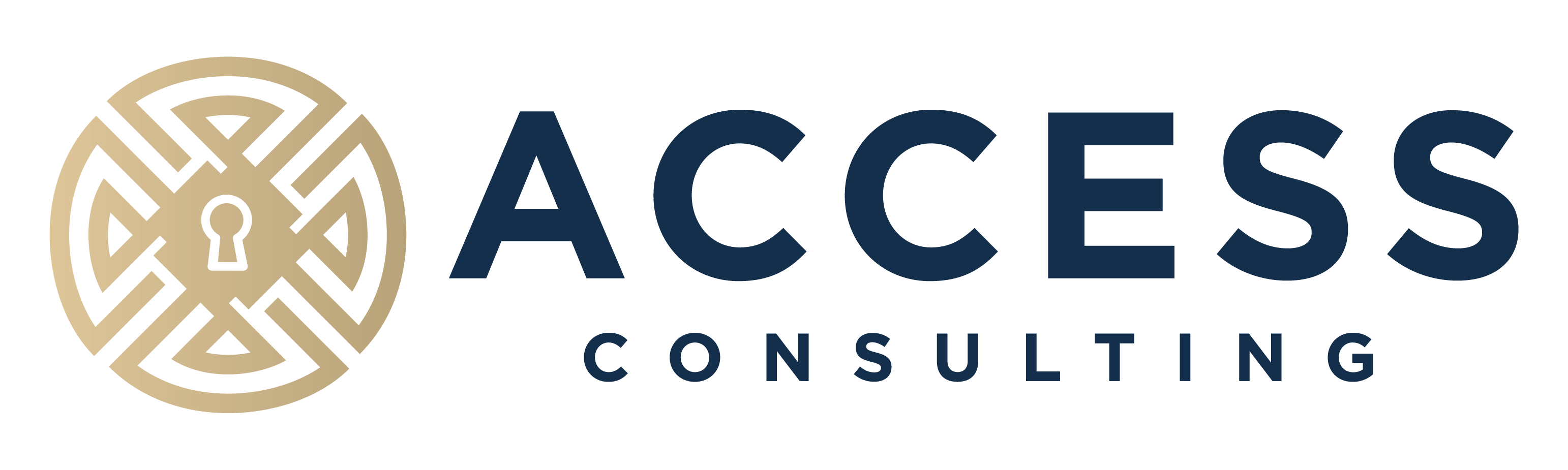 Access Consulting GmbH